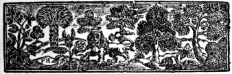 head-piece