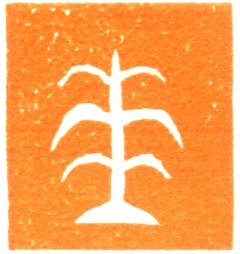 banyan