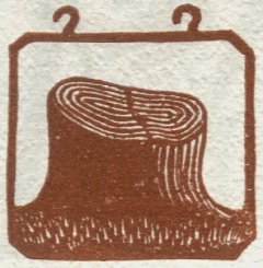 endgrain