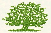 appletree