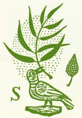 sumac